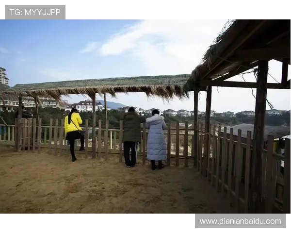 如何通过官方地址安全快捷访问AG国际网址全面介绍