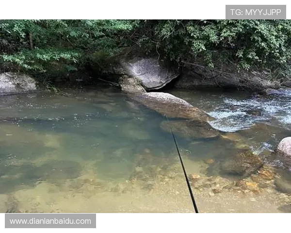 掌握ag捕鱼王最佳出牌策略实现高分目标