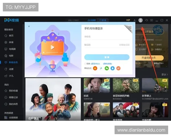 pp电子游戏平台新手指南，帮助新玩家快速上手畅玩无忧