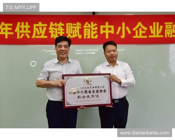 金凤凰平台：为中小企业提供全方位融资解决方案的优质平台